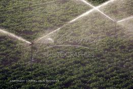 Image du Maroc Professionnelle de  Agriculture moderne système d'arrosage mobile dans le Gharb région de Larache au Nord Ouest du Maroc, Lundi 1er Juillet 2002. (Photo / Abdeljalil Bounhar) 